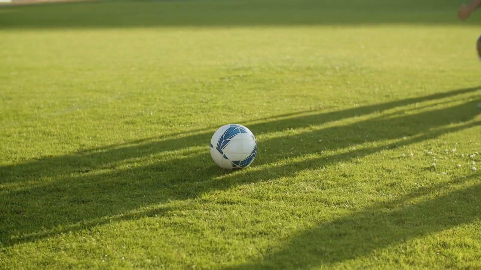 The Legacy Project — youth sports access and family support